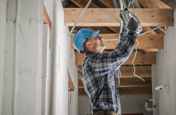 Best Residential Electrician Services  in Cedar Creek, TX